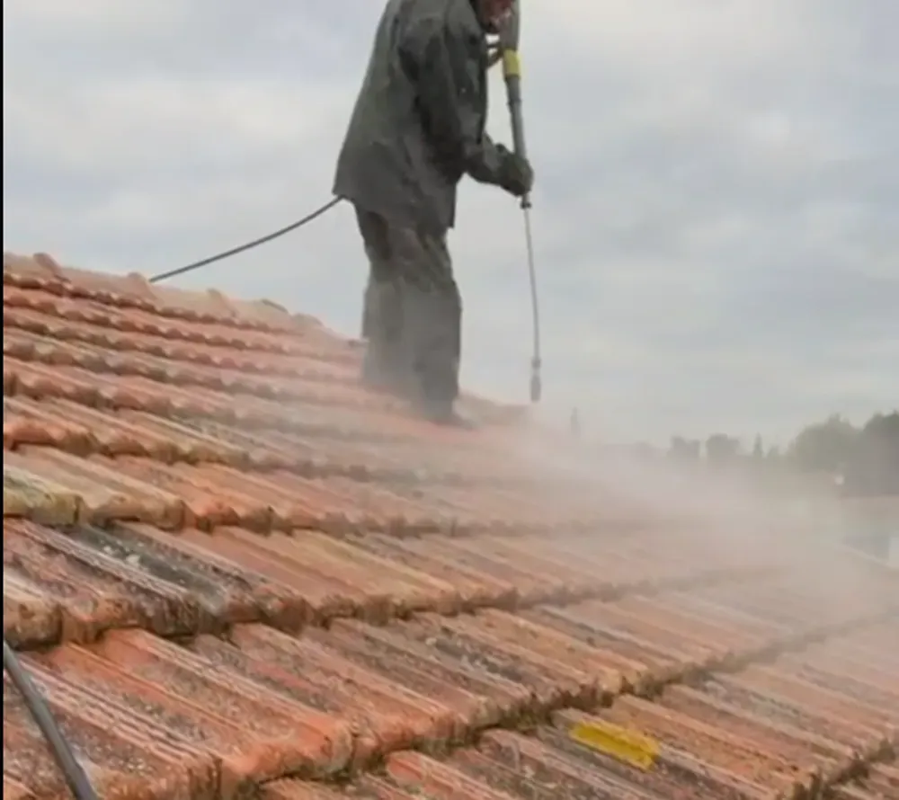 Chantier de nettoyage de toiture sur Beaucaire (1)