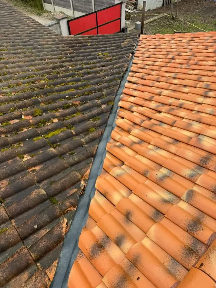 Traitement et réparation des toitures (4)webp