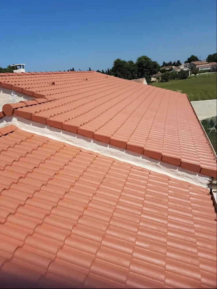 Traitement et réparation des toitures (6)webp